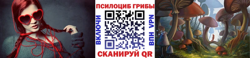 Псилоцибиновые грибы Psilocybe  где продают наркотики  дарк нет официальный сайт  Нефтеюганск 