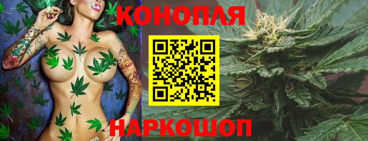 Каннабис сатива Нефтеюганск